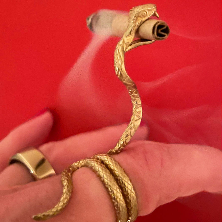 Gold snake-shaped object held by a hand against a red background