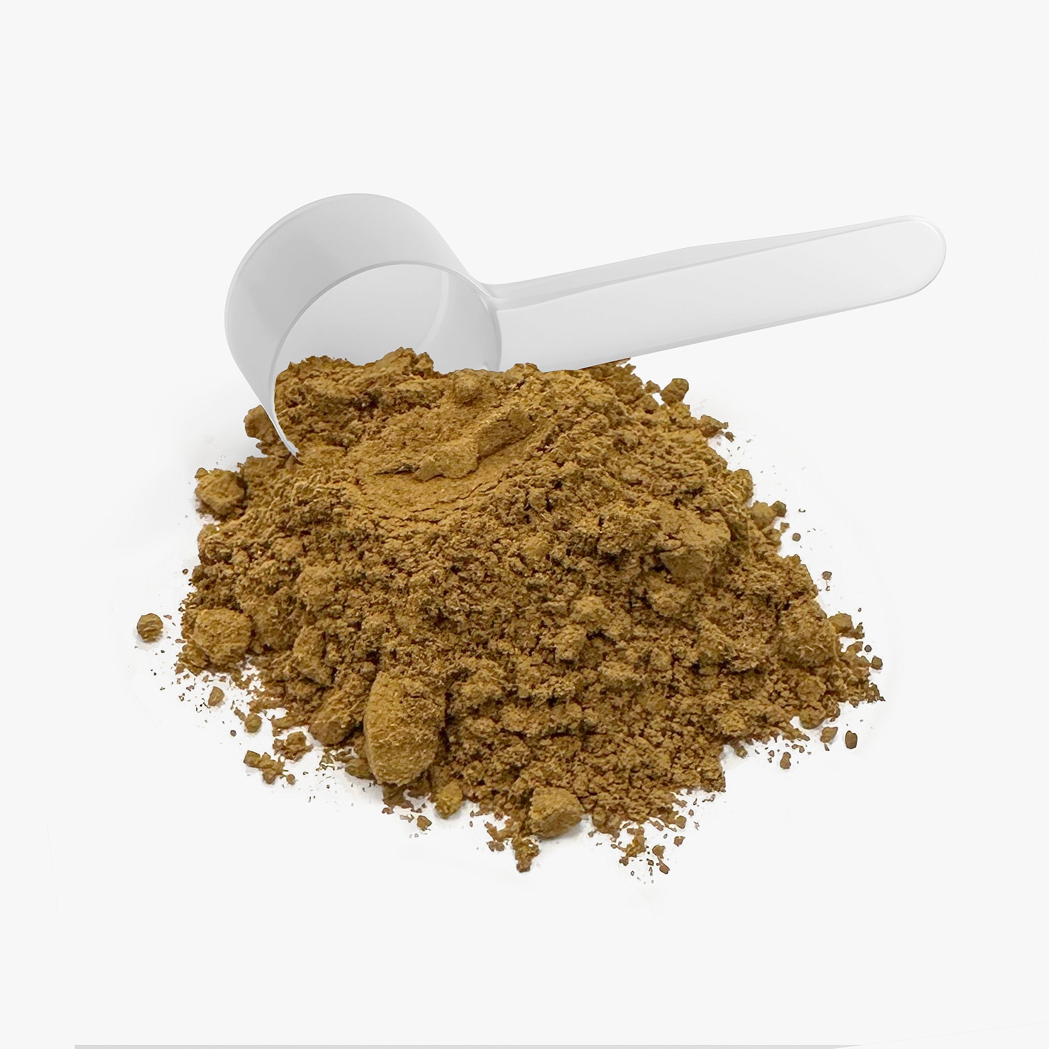 Secret Society Gnosis Blend | Chaga & Lion’s Mane Mushroom Fusion Instant Coffee-3