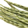 Close-up of green braided rope on a white background