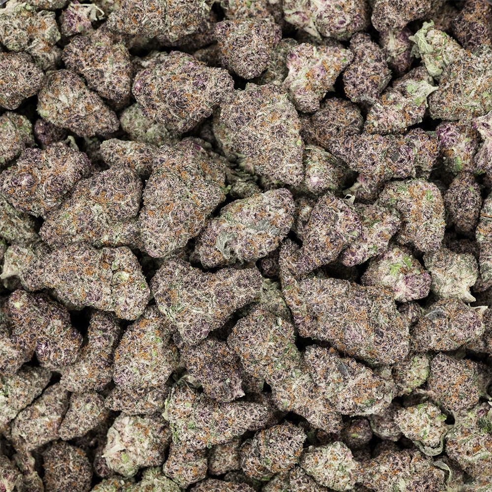 Revelry Premium Indoor Pre-Rolls (7-Pack)