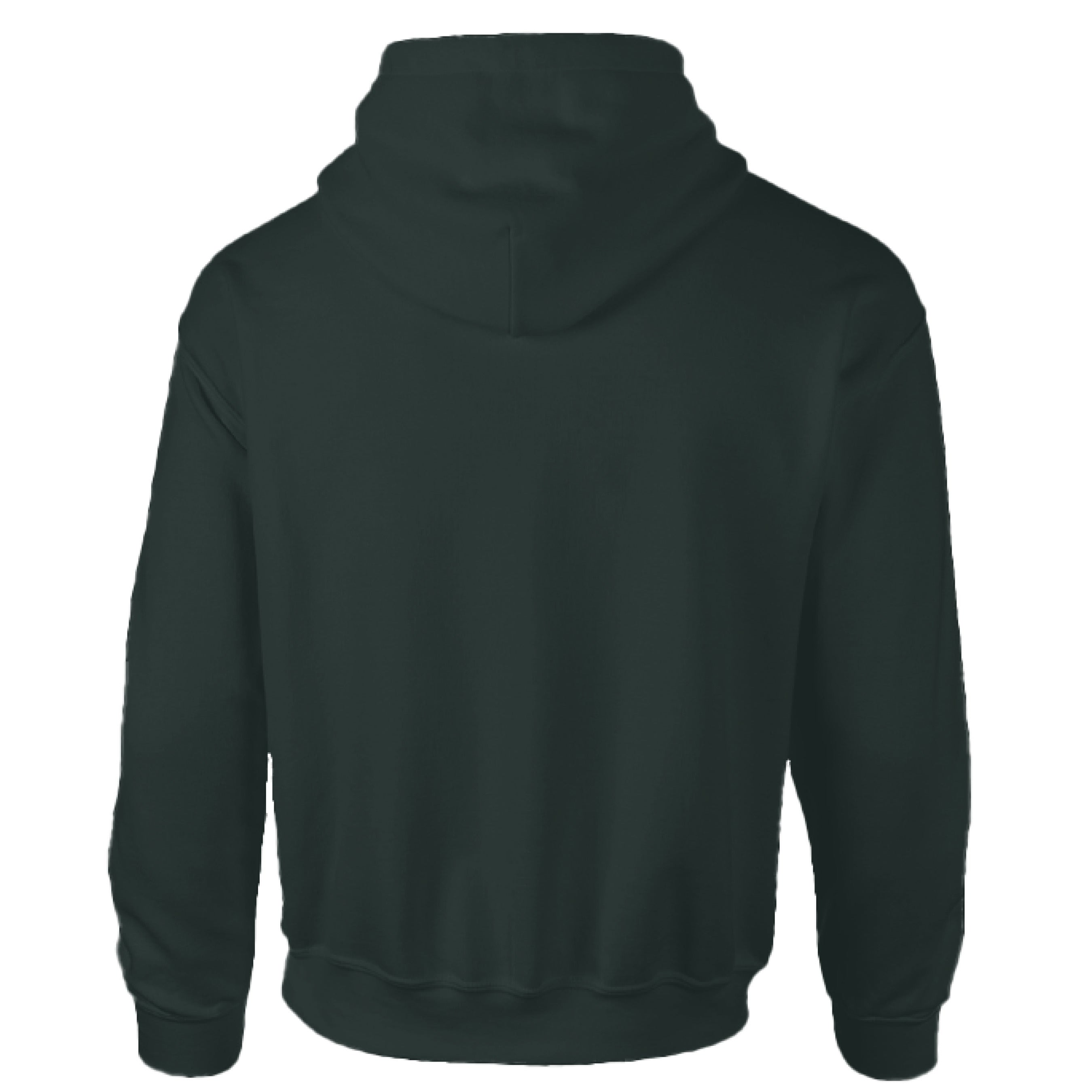 Black hoodie shown from the back on a white background