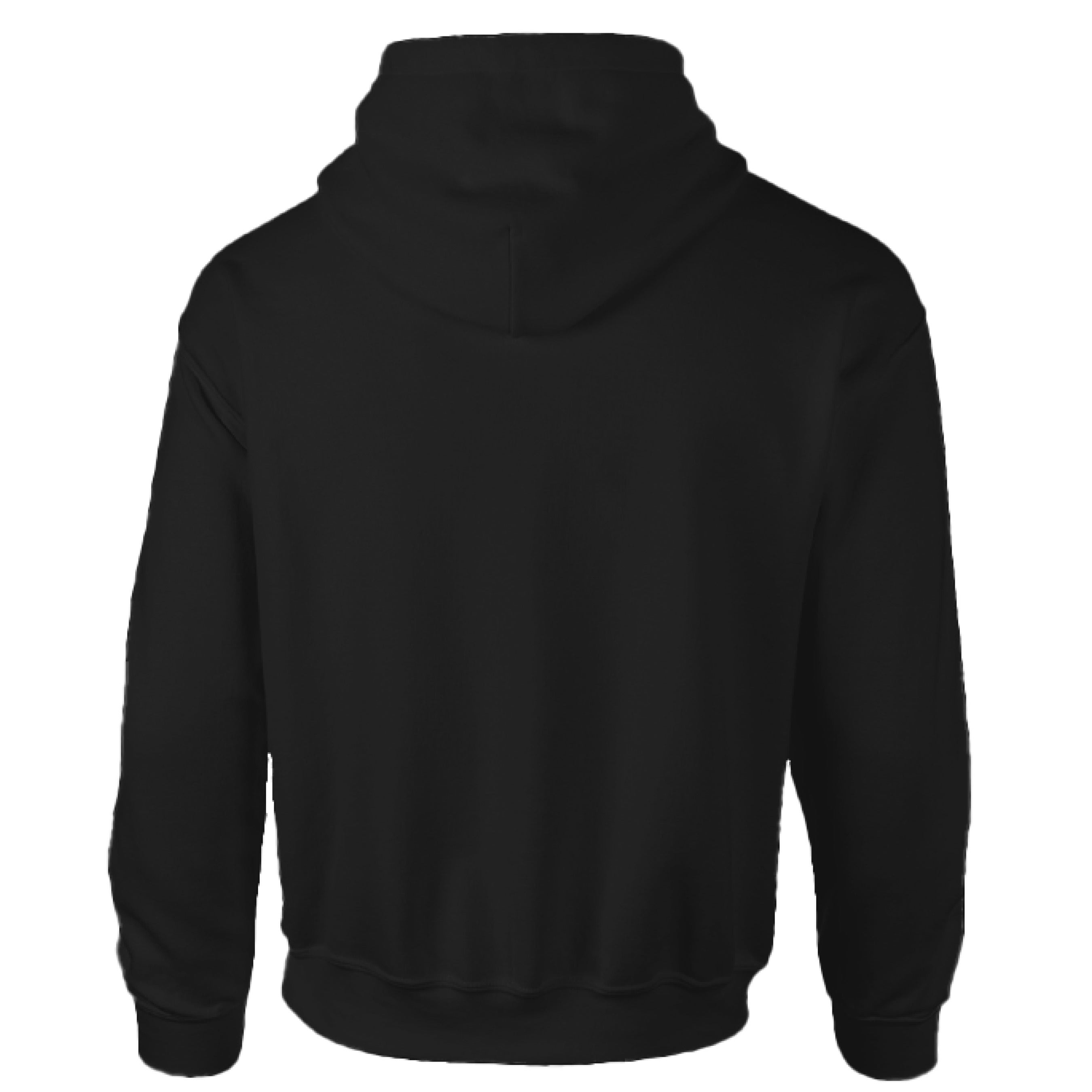 Black hoodie shown from the back on a white background